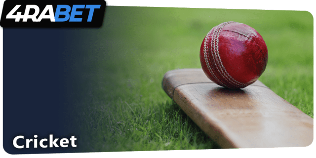 Cricket betting at 4rabet