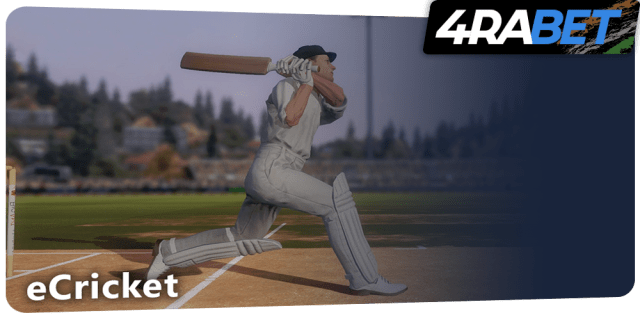 eCricket betting at 4rabet